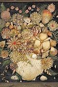 Image result for Shell Animals Art