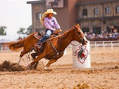 Image result for Paint Horse Barrel Racing