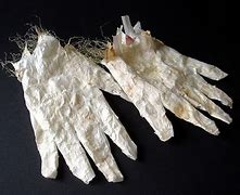 Image result for Garlic Gloves