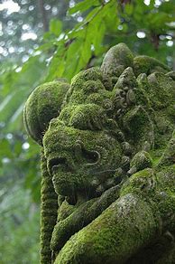 Image result for Moss-Covered Statue