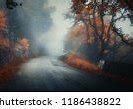 Image result for Foggy Path Landscape