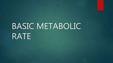 Image result for Define Metabolic Rate