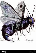 Image result for Beelzebub Flies