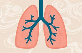 Image result for COPD 3D