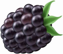 Image result for Free Clip Art Blackberries