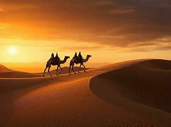 Image result for Camel Caravan Sphinx Wallpaper