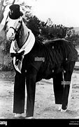 Image result for Mr. Ed TV Set