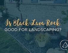 Image result for Red Lava Rock Landscaping