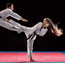 Image result for Front Kick Taekwondo Girl