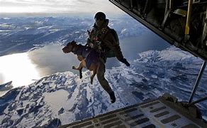 Image result for K9 Wallpaper