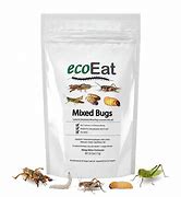 Image result for Edible Bugs Eco