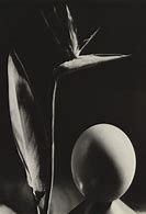 Image result for Man Ray Artist