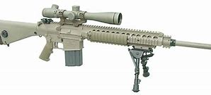 Image result for SR-25 vs M110