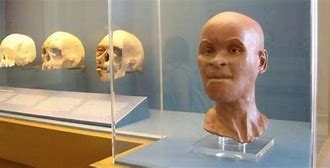 Image result for Oldest Human Skeleton Found