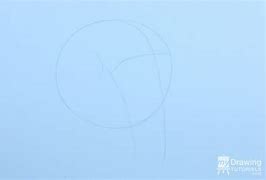 Image result for 3 4. Profile Skull Drawing