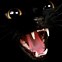 Image result for Hissing Cat Sports Logo