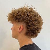 Image result for Curly Mullet 3B Hair