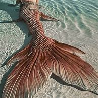 Image result for Mermaid Orange Tail