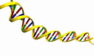 Image result for Double Helix Black and White