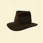 Image result for Indiana Jones Hat