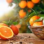 Image result for Homemaker Orange Juice