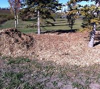 Image result for Rp Wood Mulch