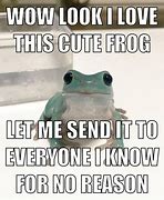 Image result for Cute Frog Meme