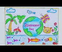 Image result for Biodiversity Diagram