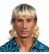 Image result for Blue Mullet Wig