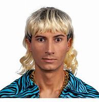 Image result for Mullet Wig