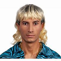 Image result for Mullet Wig