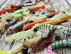 Image result for Artificial Shrimp Lures