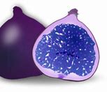 Image result for Fig Fruit Clip Art