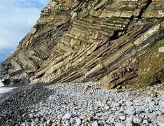 Image result for Rock Strata Animals