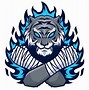 Image result for Fire and Ice Tiger