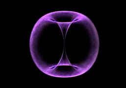 Image result for Torus in Nature