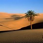 Image result for Desert De Sahara