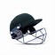 Image result for Willy Mays Batting Helmets