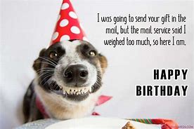 Image result for Puppy Birthday Meme