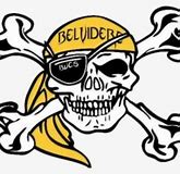 Image result for Belvidere North Bell Logo