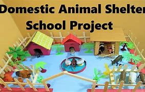 Image result for DIY Pet Shelter