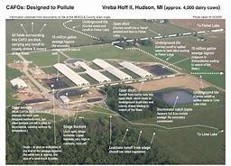 Image result for Aerial Imagery CAFO