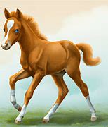 Image result for Baby Horse Running