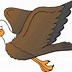 Image result for Baby Eagle Clip Art