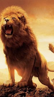 Image result for Black Lion Wallpaper iPhone