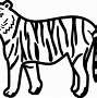 Image result for White Tiger Clip Art