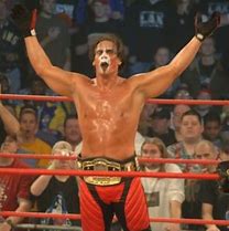 Image result for Sting Wrestler