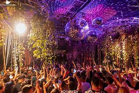 Image result for Domecile Miami Club