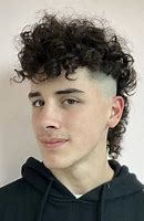 Image result for wolf cut curly hair men