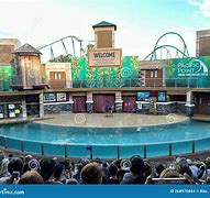 Image result for SeaWorld Sea Lion Show